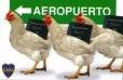 Click para ampliar